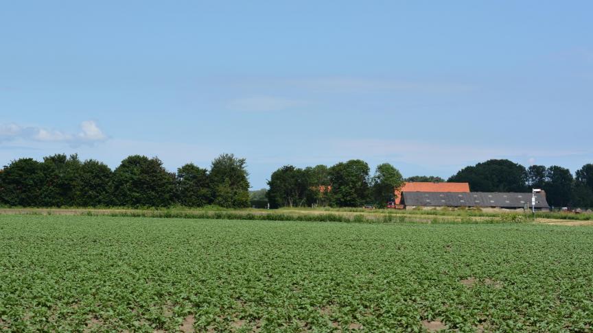 Buren hebben door een wijziging in het omgevingsdecreet minder mogelijkheden om in beroep te gaan.
