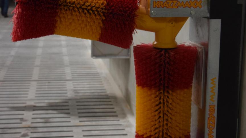 Koeborstel met staartbeveiliging en 30 cm hefruimte.