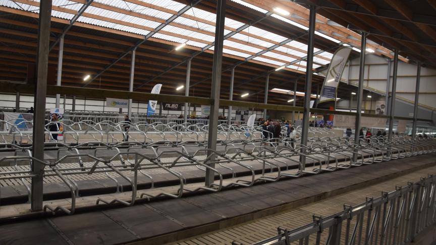 Zicht op de stal met brede lichtpanelen.