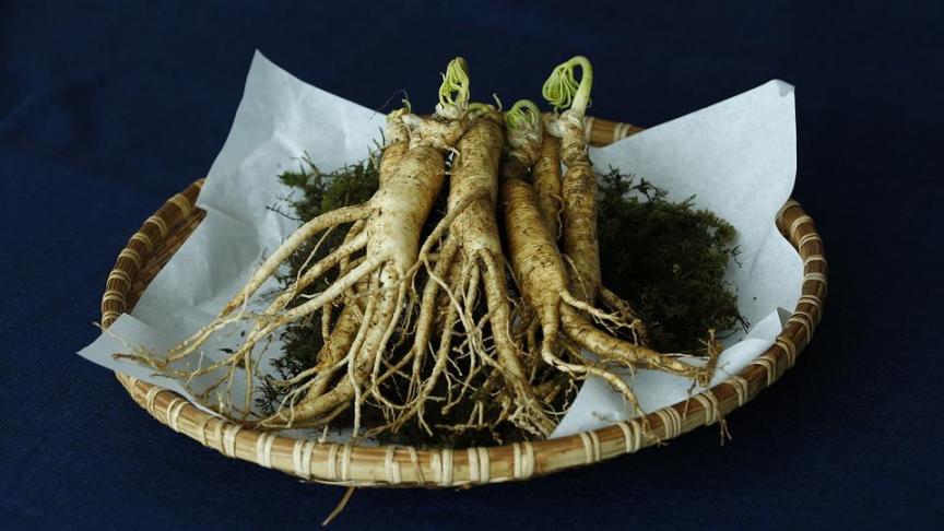 ginseng-3404958_960_720