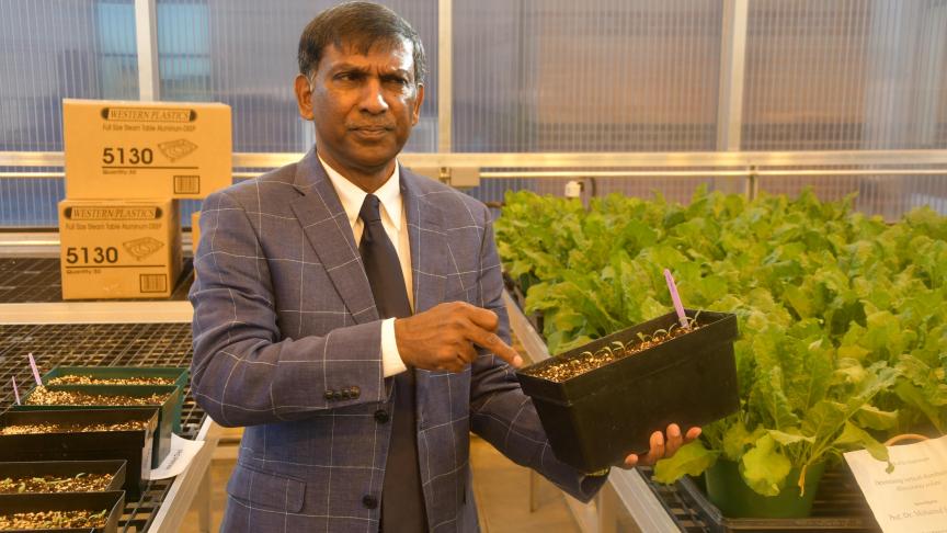 Betaseeds werk wordt uitgevoerd in nauwe samenwerking met professor Mohamed Khan, een toonaangevende specialist in bieten- en cercosporabestrijding, aan de afdeling Plantpathologie van de North Dakota State University (NDSU) in Fargo.