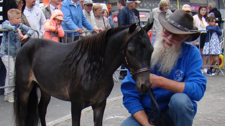 Patrick Ottoy met zijn hengst Tartufo van den Haze die dagkampioen werd in Torhout.