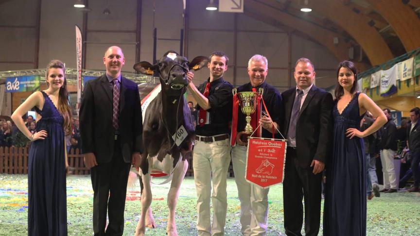 Tijdens de Nacht van de Holsteins in 2017 behaalde Lasid de Bois Segneur, afstammelinge van Comestar Laurie Sheik, de titel van grote kampioene. Ze heeft op dit ogenblik drie dochters in het bedrijf van Eddy en Jonas Pussemier.