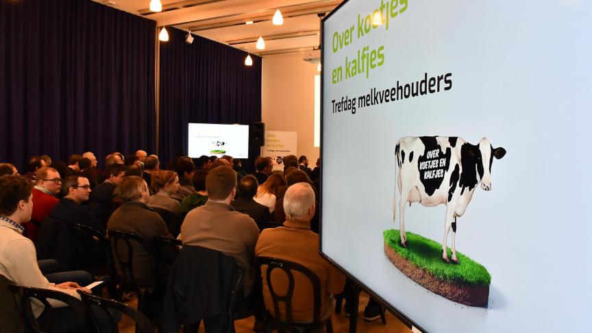 INA_7992_Melkveetrefdag_sfeer