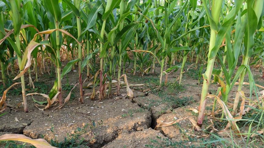 De plenaire Kamer stemde donderdag in met de dringende behandeling van het voorstel van bijzonder klimaatwet.