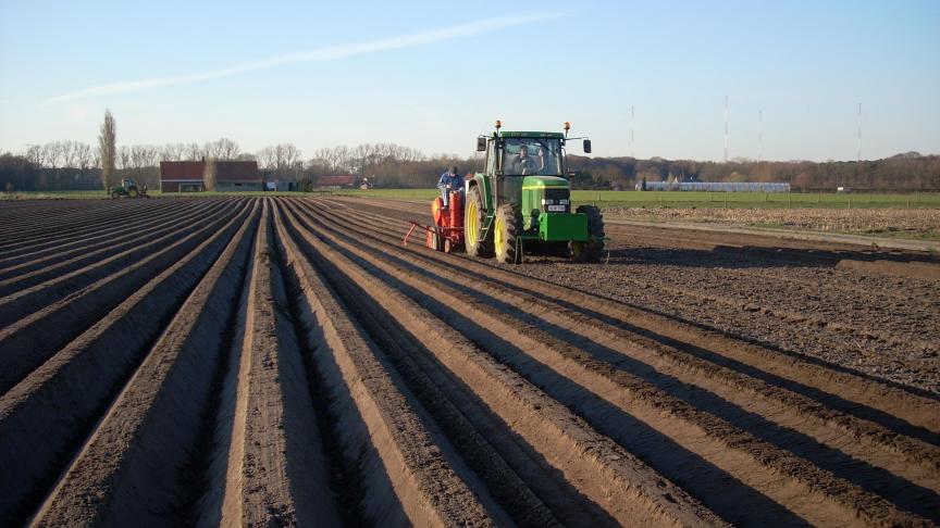 Van het areaal vroege aardappelen wordt verwacht dat het nog stijgt.