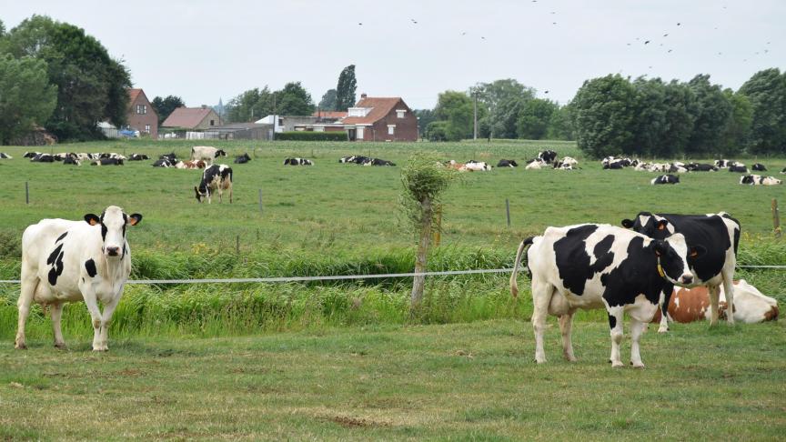 Colruyt zet in op langetermijncontracten.