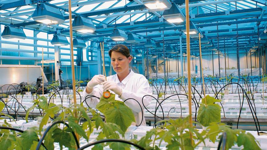 Bayer is sinds de overname van Monsanto de grootste producent van zaden en gewasbeschermingsmiddelen wereldwijd.