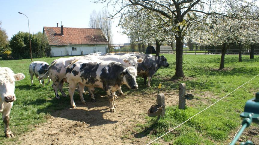 De EU zet zich in tegen oneerlijke handelspraktijken, waar direct of indirect landbouwers de dupe van worden.