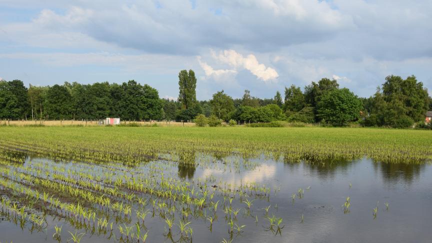 De weersverzekering moet onder meer schade door hagel, extreme droogte en extreme regenval dekken.