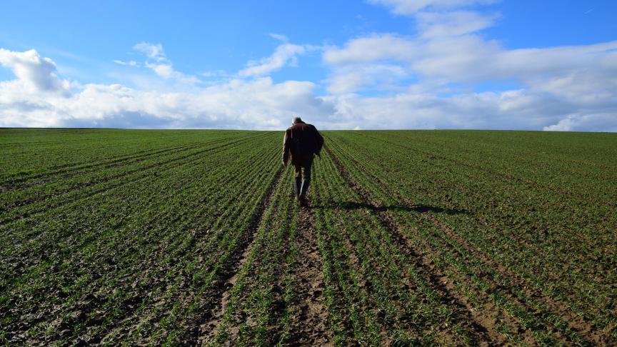 Niet-kerende bodembewerking kan vele voordelen hebben, zeker in erosiegevoelige gebieden.