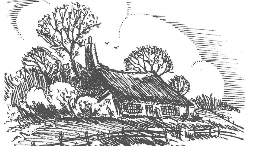 Plattelandsdichter Jozef Vandromme uit Geluwe deelt elk seizoen van het jaar 2019 een echt buitengedicht met de lezers van Landbouwleven. De tekening is van de hand van Laurent De Backer.