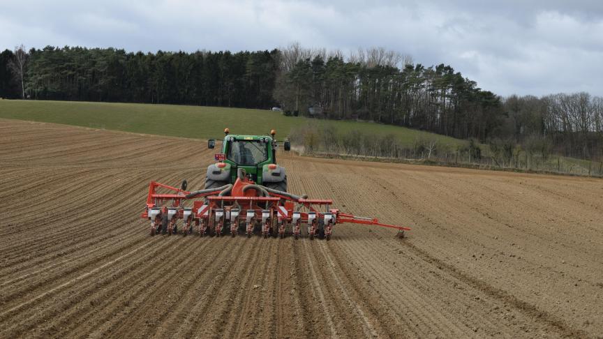 Afgelopen zondagavond was 27% van het totale suikerbietenareaal in België ingezaaid.