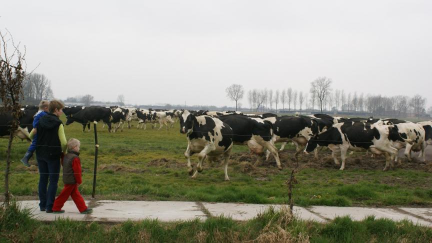 ILVO onderzoekt niet alleen hoe bedrijven financieel schade lijden, maar ook hoe het virus en de gevolgen ervan druk zet op het gezinsleven.