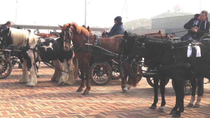 Voor de strandwandeling van de Schipdonkmenners was er weer grote opkomst.