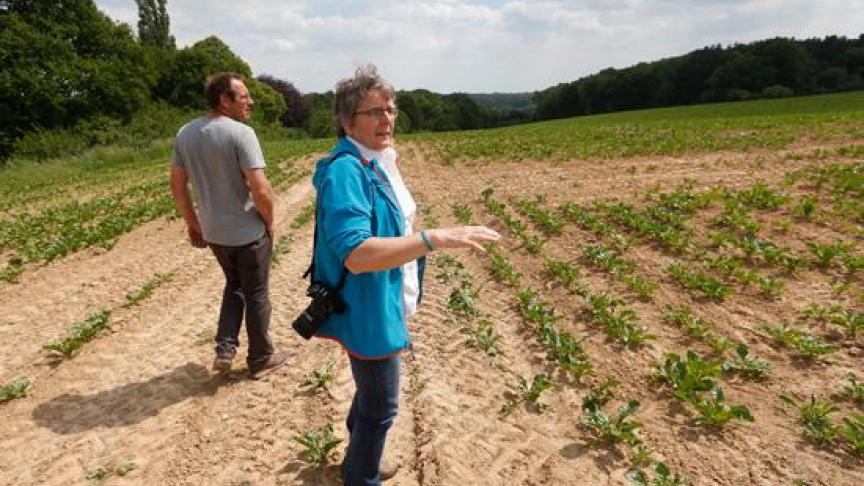 Annie Demeyere:  Mijn ervaring is dat er bij demobezoeken veel interactie is met het publiek en er goede discussies plaatsvinden.