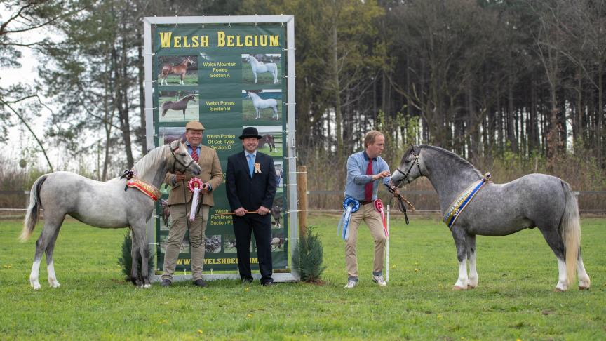 Overall youngstock champion (links) Hoekhorst Joyfull en (rechts) Noaberhoeve Clinton. Vivian Hesen