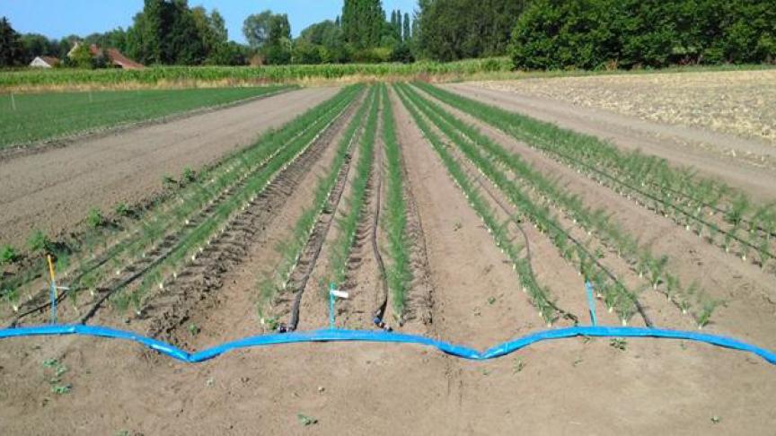Aan de ene kant bestaan er leidingen van soepel plastiek, maar aan andere kant kan je opteren voor de stijvere darmen die gericht zijn op meerjarig gebruik.
