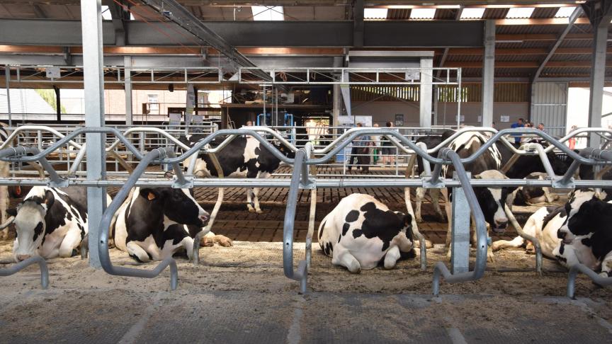 Seizoensmatig dalen de melkprijzen in het begin van het jaar tot het laagste niveau in april/mei (als de melkproductie piekt).