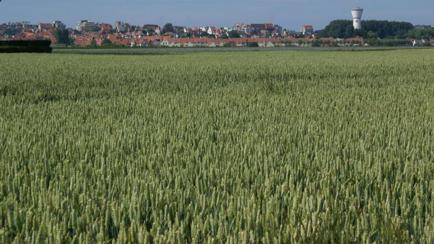 In 2018 werd 68
% van het West-Vlaamse oppervlak gebruikt voor de landbouw.