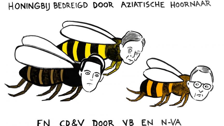 De week van de bij en de week na de verkiezingen hebben op het eerste zicht niets met elkaar te maken. Of toch?