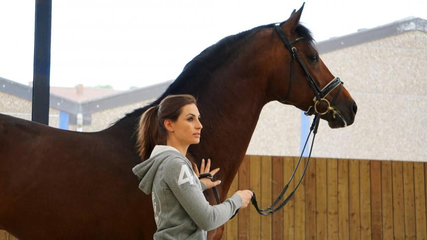 Prévost beschikt over drie binne- en drie buitenpistes, een parcours voor gallop, een overdekte longeerpiste, 85 boxen en 18 hectare weiland.