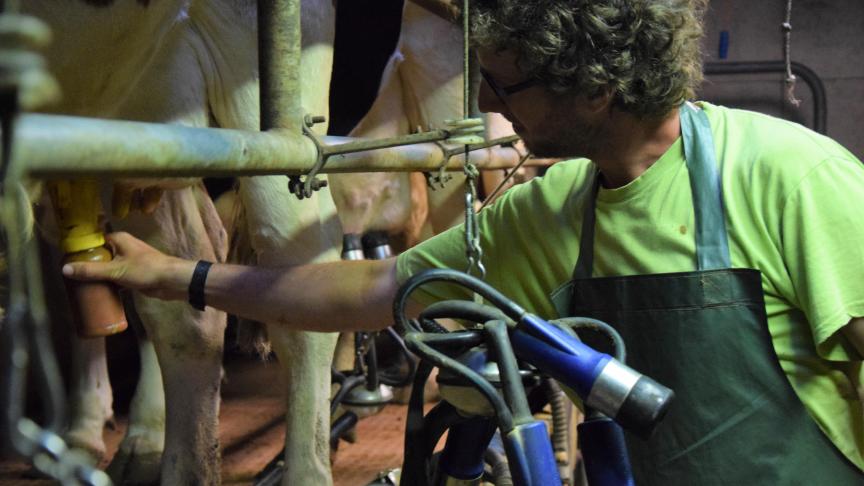 Ontsmettingsmiddelen voor dierlijk gebruik zoals tepeldipmiddelen en tepelsprays voor het melken vallen ook onder de biocidenwetgeving.
