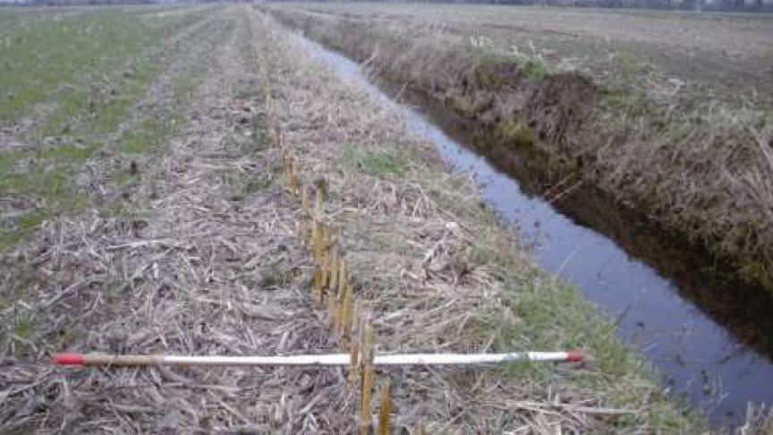 Om de waterkwaliteit te verbeteren, is het de bedoeling dat op de 1 meter teeltvrije zone geen gewasbeschermingsmiddelen of meststoffen mogen worden toegepast.