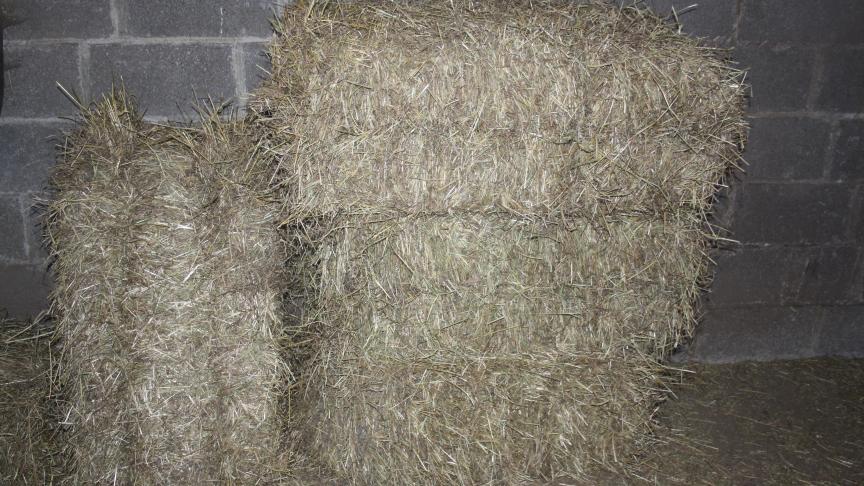 De voedingswaarde van hooi wordt bepaald door de gebruikte grassen.
