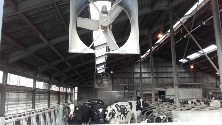 Strategisch opgehangen ventilatoren boven het voerhek