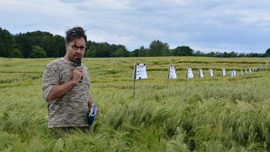 Jean-Luc Lamont van het departement Landbouw en Visserij bespreekt de gerstrassen op het proefveld van Huldenberg.