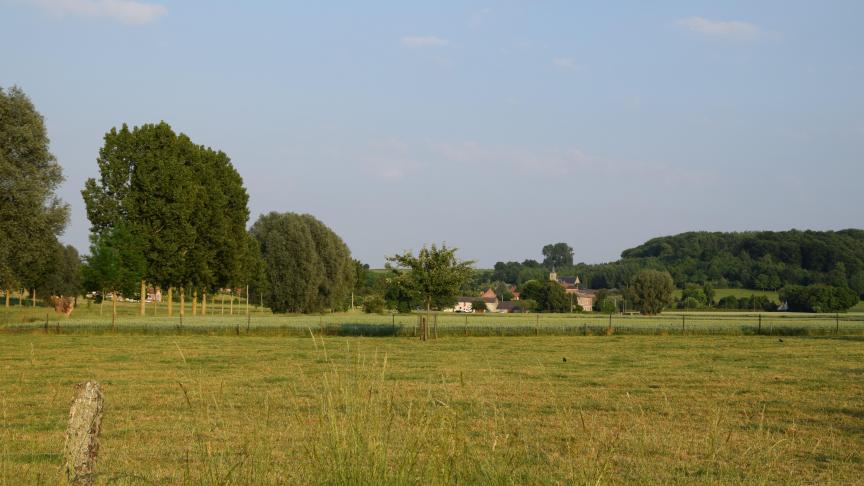 Het doelareaal voor vanggewassen verschijnt pas begin augustus op het Mestbankloket. daarom kan je een vanggewasovereenkomst melden tot 31 augustus.