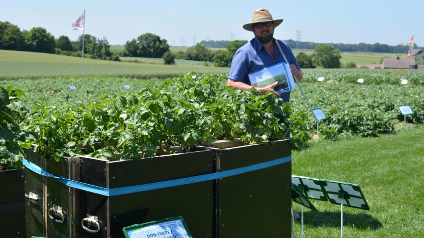 Bayer vergelijkt aardappelplanten op aarde met verschillende mate van bodemmoeheid, die al dan niet behandeld werden met het nieuwe nematicide Velum Prime.