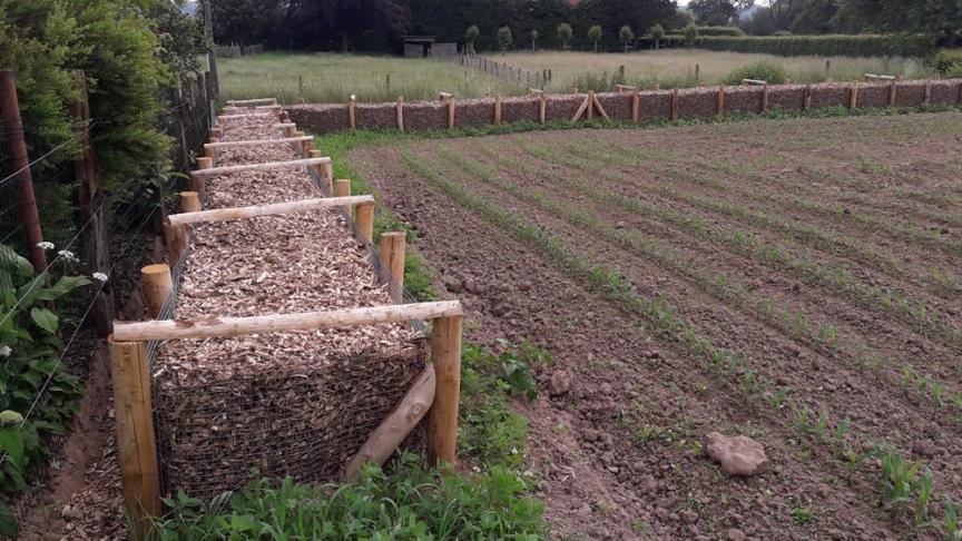 Houthakseldammen houden de  afspoelende  modder tegen.