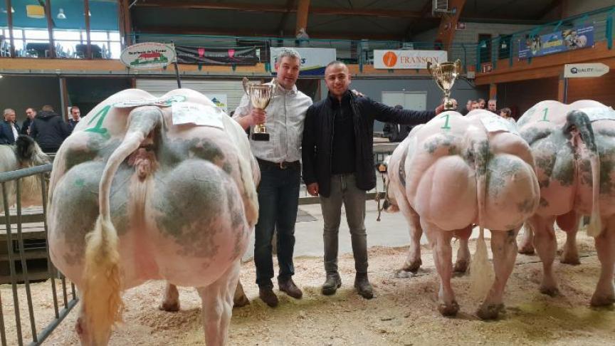 Ilias werd algemeen Kampioen stieren in Libramont.