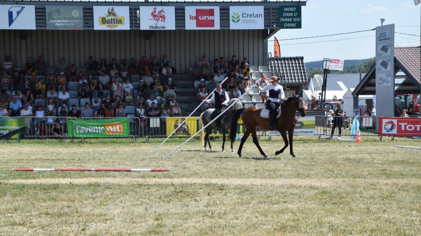 De Beurs van Libramont begon ooit met de paarden, en nog altijd staat de beurs bol van paardensport en demonstraties.