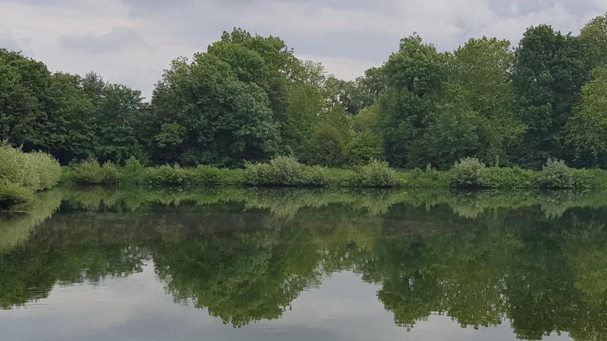 Om het milieu te sparen en om te voldoen aan de Europese Kaderrichtlijn Water moeten de concentraties aan gewasbeschermingsmiddelen in het oppervlaktewater worden verminderd.