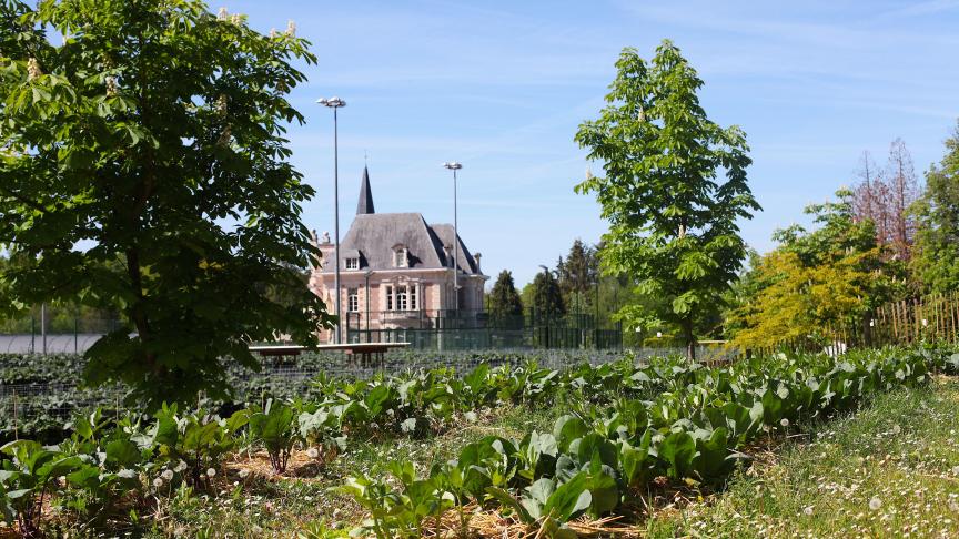 De stadsboerderij van Peas & Love staan voornamelijk op daken. Op de foto de enige locatie op de grond, die ook als hoofdkwartier dient.