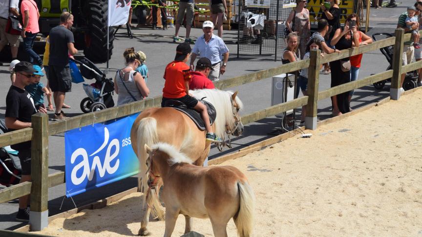 De beurs is een geschikte plek om de jongeren een liefde voor paarden bij te brengen.