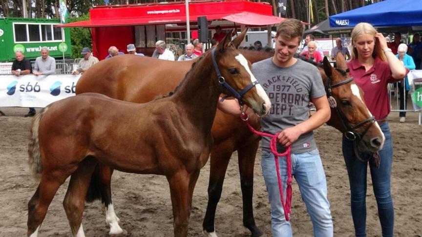 Touch of Chilli van Aurelie en Jarne Paulissen-Janssens uit Grobbendonk won bij de oudste vrouwelijke springveulens.