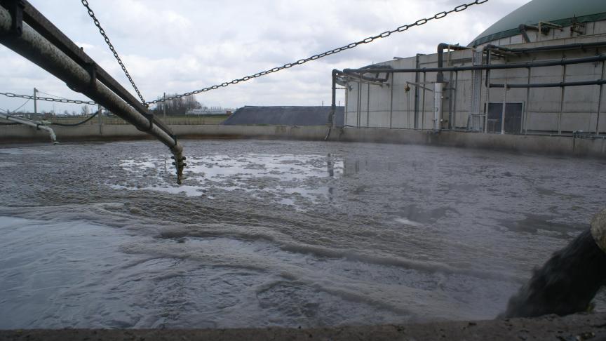 Landbouwers die mestverwerkingsplichtig zijn, kijken best nu hun certificatenrekeningen na.