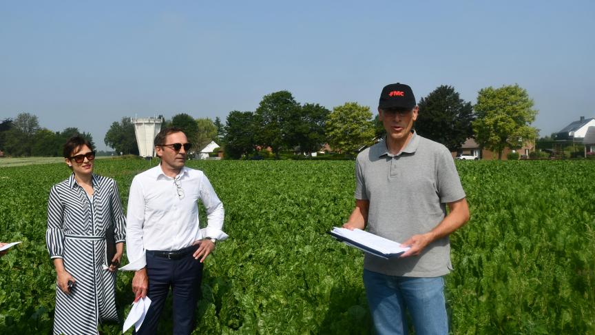 Bezoek aan een proefveld gewijd aan onkruidbestrijding in de bietenteelt in Ophain.