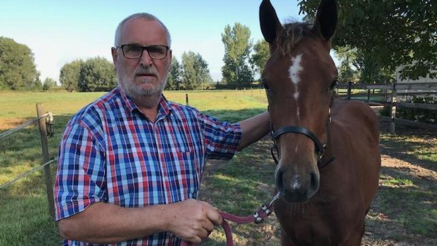 Freddy De Vos uit Zaffelare met zijn kampioenveulen Pegase van ‘t Ruyterhof.