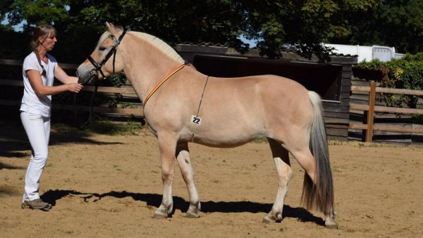 Nova, best getoiletteerde van Annick Smits uit Hove.