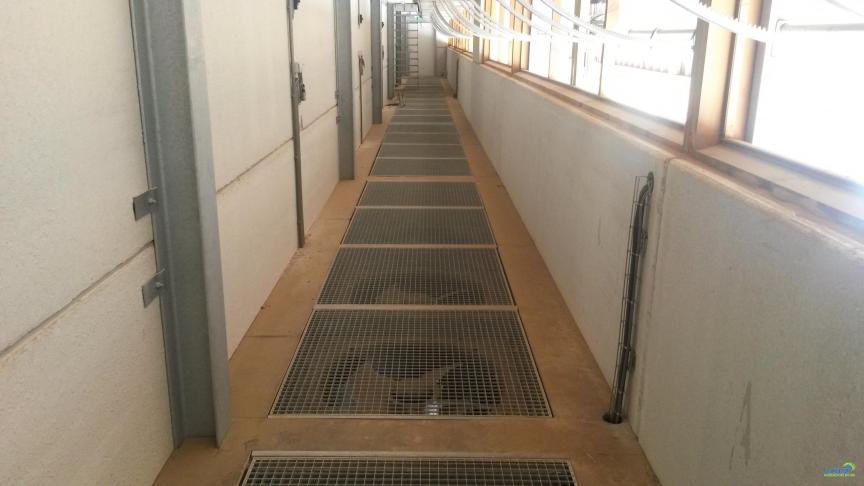 161446_160739_201907090947_3