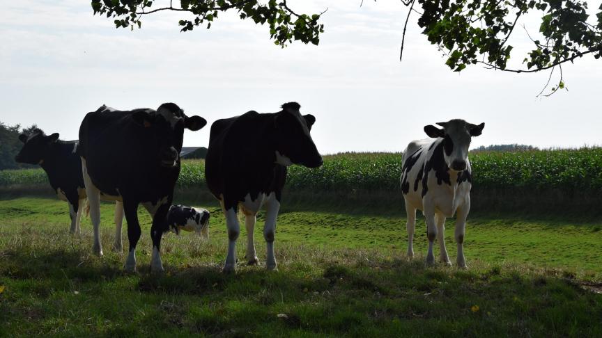 De landbouworganisaties vinden een harde aanval van BE Vegan er ver over.