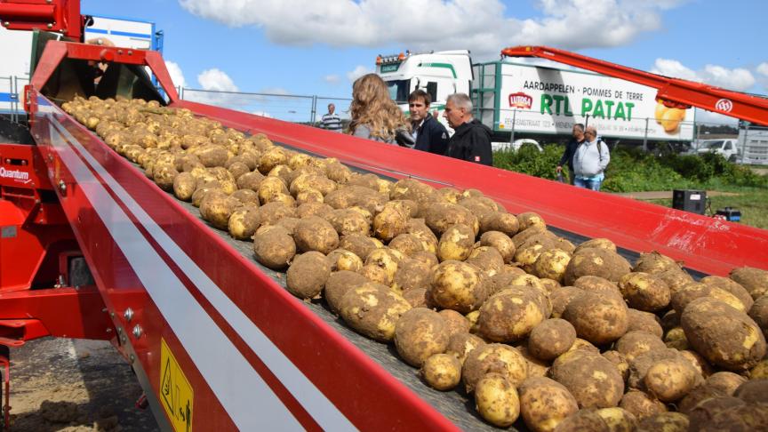 De normale aangroei bij Challenger op het einde van het groeiseizoen bleef in 2020 uit door de aanhoudende droogte en de hitte.