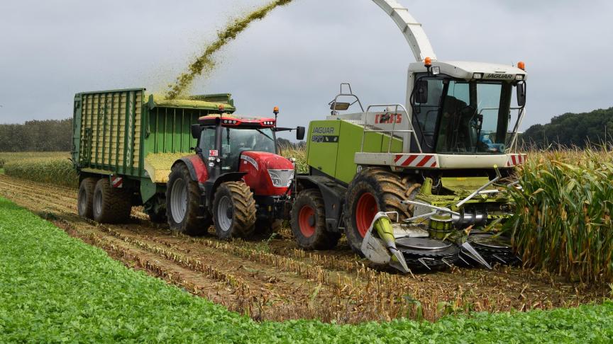 Volgens Boerenbond biedt het Vlaams regeerakkoord nieuwe kansen voor een goede samenwerking en oplossingen voor maatschappelijke uitdagingen.