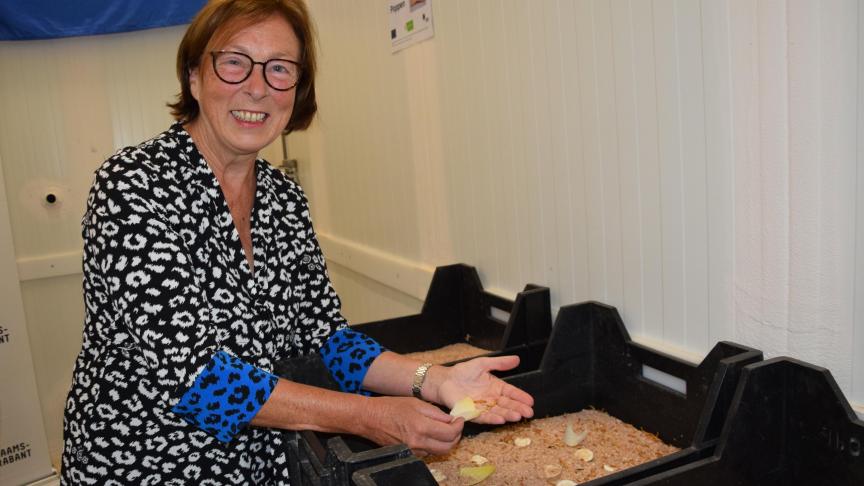 Alternatieven vinden voor de reststromen van witloof is ontzettend belangrijk voor onze telers”, benadrukt Monique Swinnen, gedeputeerde voor Landbouw in Vlaams-Brabant.  De kweek van meelwormen biedt alvast mogelijkheden.»
