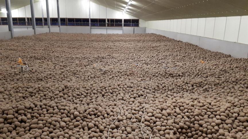 Voor de meeste recent gebouwde bewaarloodsen betekent een toepassing met de nieuwe kiemremmers geen enkel probleem.